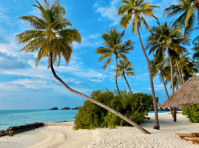 Looking for Paradise? Discover the Three Most Beautiful Islands in the World!