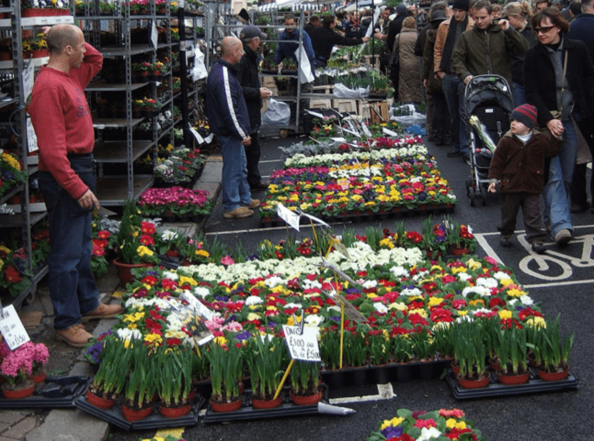 How Can Timing Enhance Your Experience at Columbia Road's Flower Market?
